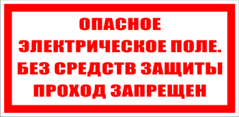 S13 опасное электрическое поле. без средств защиты проход запрещен (пленка, 200х100 мм) - Знаки безопасности - Знаки по электробезопасности - магазин "Охрана труда и Техника безопасности"